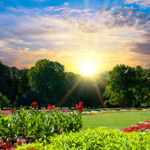 istock A beautiful summer garden and a bright sun rise. 1599337817