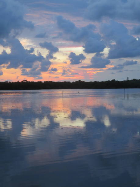 istock Gulf Coast off Florida Keys 1599404546