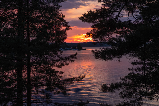 Sunset at lake Saimaa Finland, tree branches. summer landscape