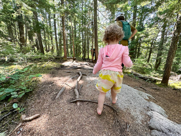 istock Toddler hiking in a beautiful forest 1599442091