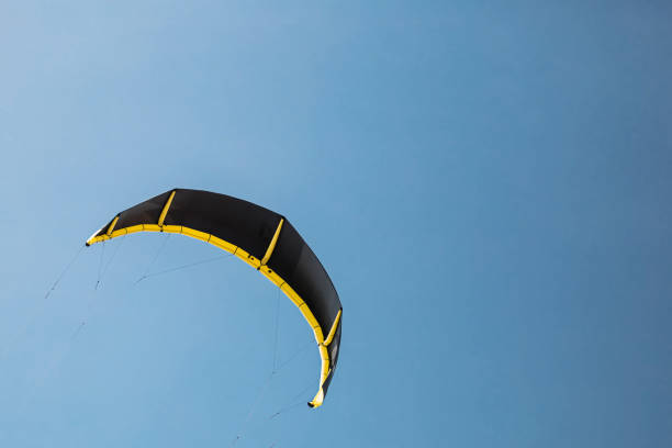 istock Black wing kite in the blue sky 1599447404