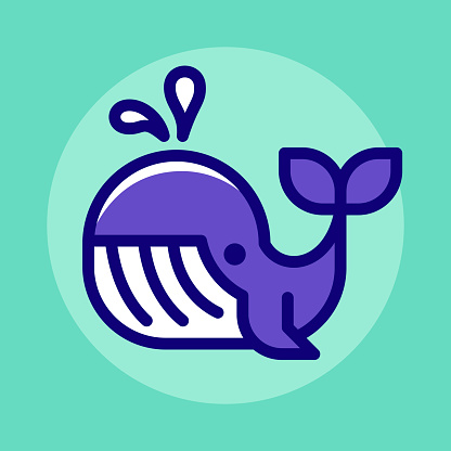 Vector illustration of a whale against a teal background in line art style.