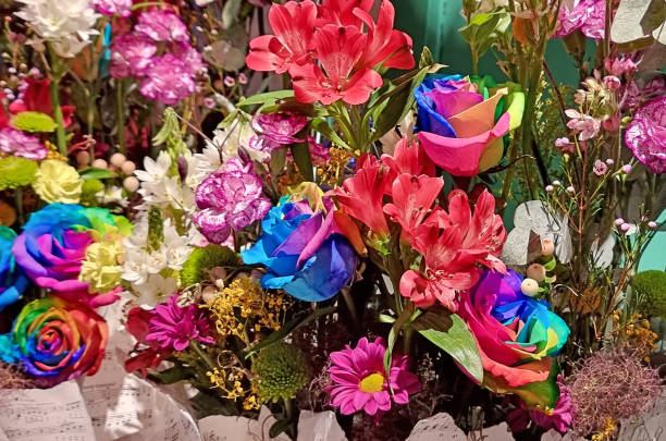 Rainbow roses