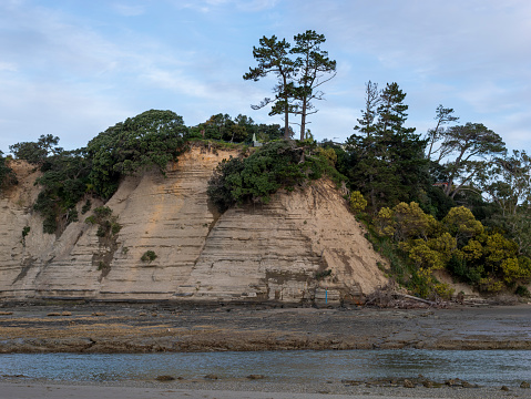 Orewa River and cliff in Auckland, New Zealand