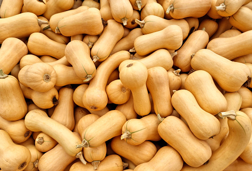 Lots of pumpkins Butternut Squash.