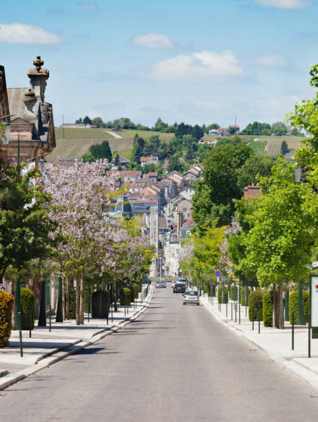 Cтоковое фото Avenue de Champagne, Эперне, столица Шампани, Марна, Франция