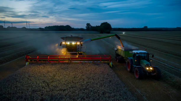 istock View of combine harvester are harvesting wheat and loading off corn grains into tractor trailer at late evening. Working combine harvester at night with lights illuminating the field. 1599548563