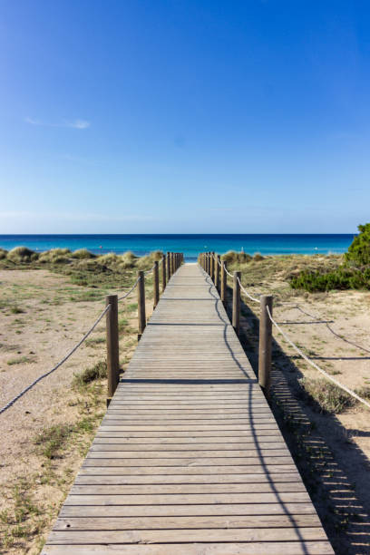 istock View of beautiful Son Bou Beach in Menorca (Spain) 1599558153