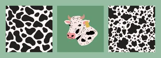 Vector illustration of Cow print seamless pattern. Cow illustration and black and white animal print designs.