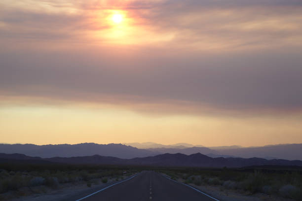 istock Mojave National Preserve 1599793956