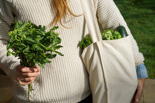 Close-up of a person's hands gently caressing a fabric tote bag filled with vibrant vegetables, including a lush basil plant, showcasing the beauty of fresh produce and sustainability.