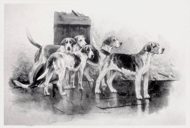 istock Dog illustration. Vintage Style Ink Art. 1599817318