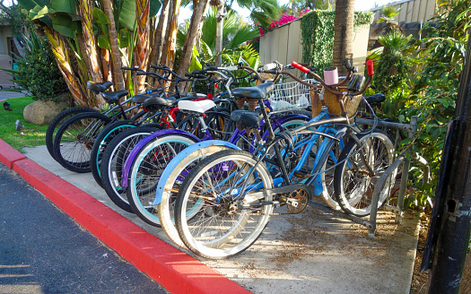 Bicycle rack with chained and locked bikes at roadside parking lot under lush tropical trees