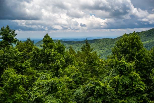 istock An overlooking view in North Carolina, Highlands 1599924443