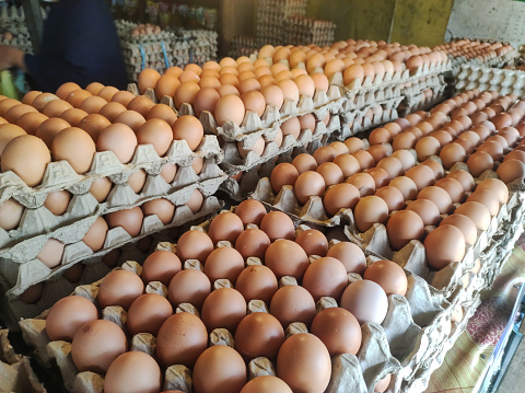 Domestic chicken eggs on carton shelf for sale in market, concept photo of high rising price of chicken eggs