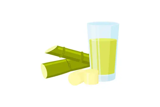 Vector illustration of Fresh sugar cane juice with sliced sugar cane isolated on white background.