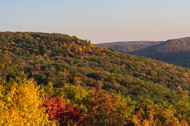 istock Allegheny state forest overlook during autumn season setting sun hours PA, copy space backgrounds graphic resourcesAllegheny state forest overlook during autumn season setting sun hours PA, copy space backgrounds graphic resources 1599967501