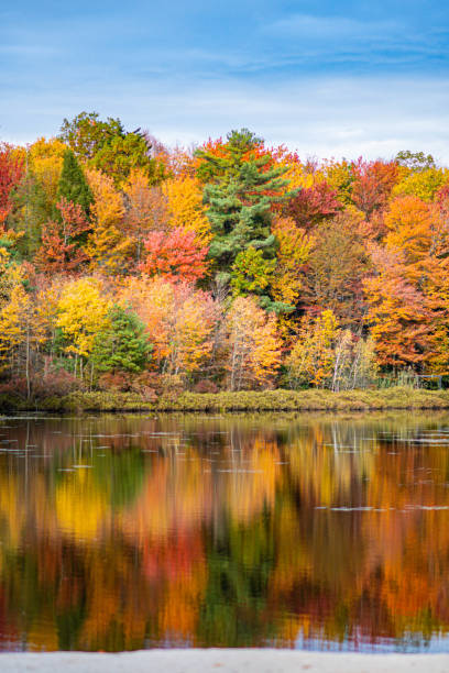 istock Fall autumn landscape wallpaper copy space background for graphic design advertising 1599970761