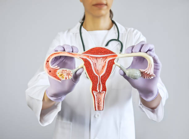 istock Gynecologist showing an ovary model 1600014889