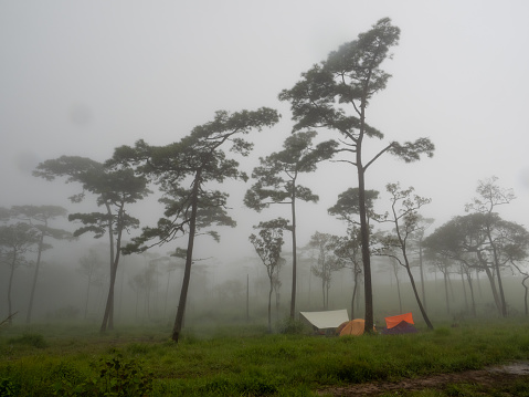 Luminous tourist tent in a remote wild location on the rocky coast of a foggy lake. Hiking and outdoor activities