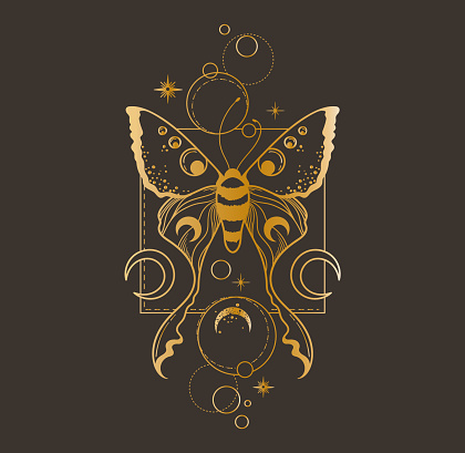 Magic celestial butterfly and moon clipart in golden foil texture, mystic space moth with crescent moon, gold colored insects composition in vector, isolated element for t-shirt, poster, postcards