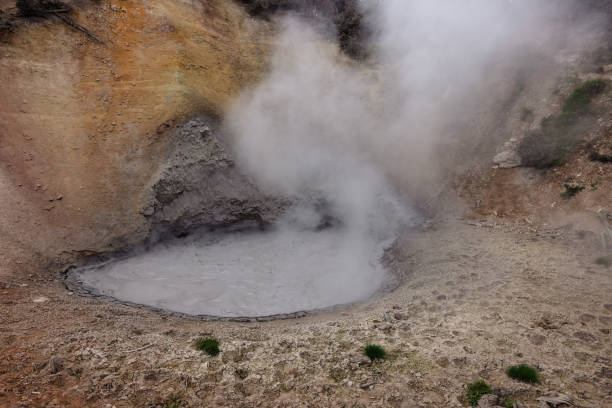 Mud Volcano Mud Volcano in Yellowstone National Park mud volcano yellowstone stock pictures, royalty-free photos & images