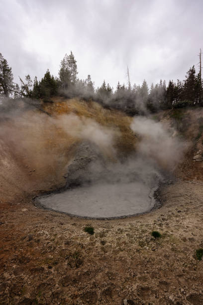 Mud Volcano Mud Volcano in Yellowstone National Park mud volcano yellowstone stock pictures, royalty-free photos & images