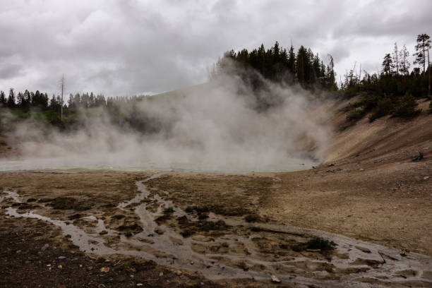 Mud Volcano Mud Volcano in Yellowstone National Park mud volcano yellowstone stock pictures, royalty-free photos & images