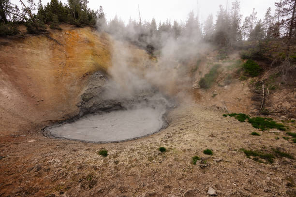 Mud Volcano Mud Volcano in Yellowstone National Park mud volcano yellowstone stock pictures, royalty-free photos & images