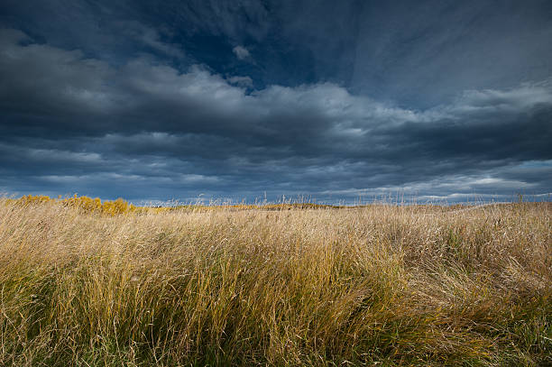 istock Field of Dreams edit 160017914