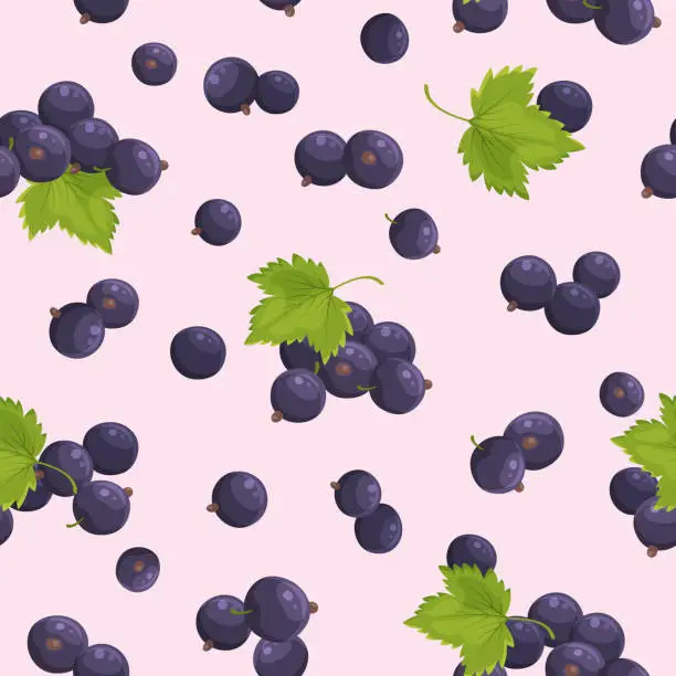 Vector illustration of Romantic seamless pattern with black currant. Repeating background with berries. Vector print.