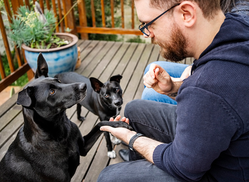 Man teaching his pet dog to give its paw while sitting on porch of his house