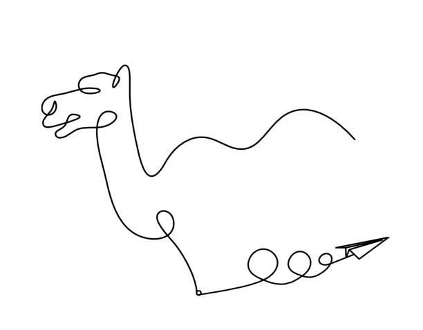 ilustrações de stock, clip art, desenhos animados e ícones de silhouette of abstract camel with paper plane as line drawing - detent