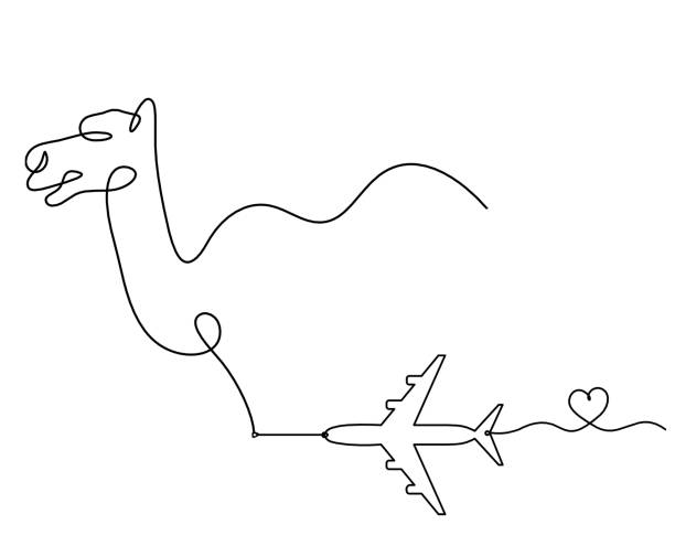 ilustrações de stock, clip art, desenhos animados e ícones de silhouette of abstract camel with plane as line drawing - detent