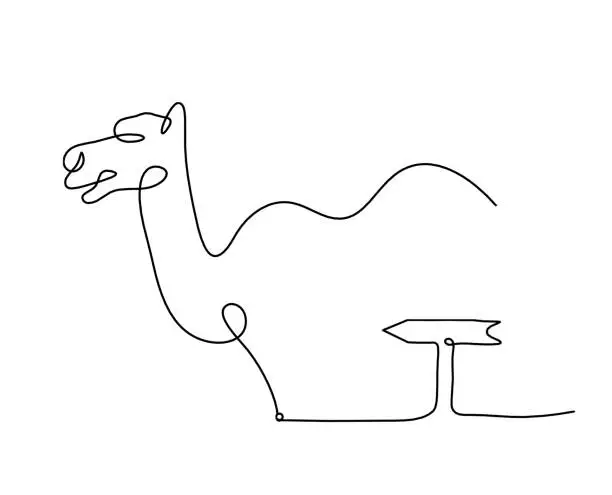 Vector illustration of Silhouette of abstract camel with direction as line drawing