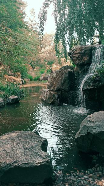 istock Waterfall in a japanese inspiration park 1600290468