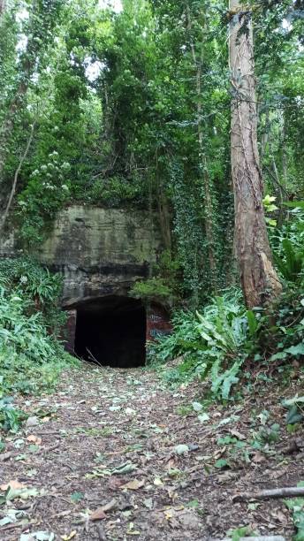 istock Cave entrance in a forest 1600290476