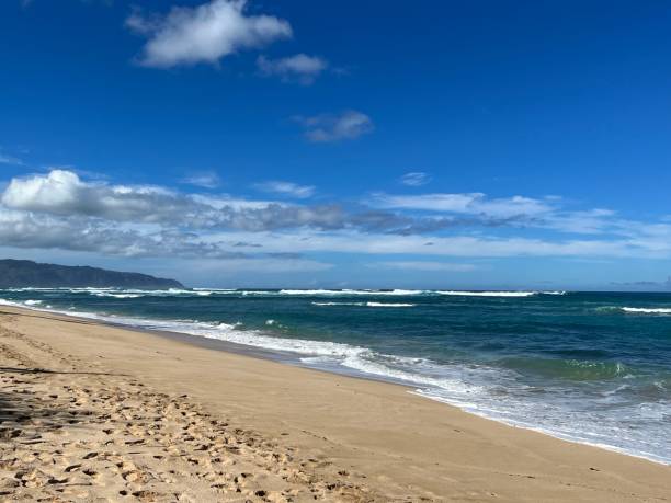 istock Beaches of North Shore Oahu 1600290480