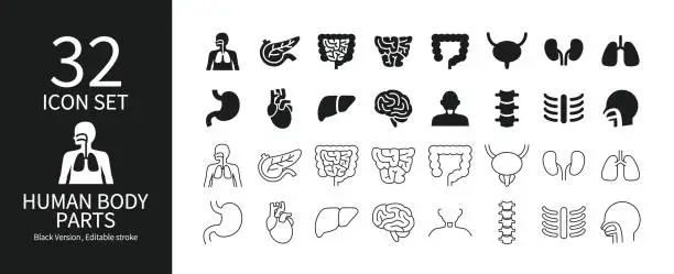 Vector illustration of Various parts of the human body icon set