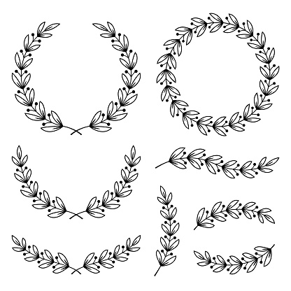 Set of floral wreaths and dividers. Vector design elements.