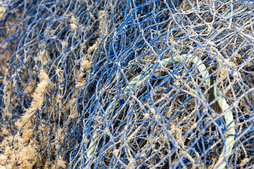 fishing net on a blue wooden