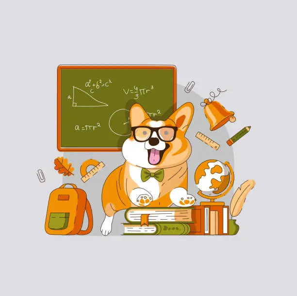 Vector illustration of Welsh Corgi Dog student with glasses on the background of a blackboard with Books in School. September 1st. Vector illustration