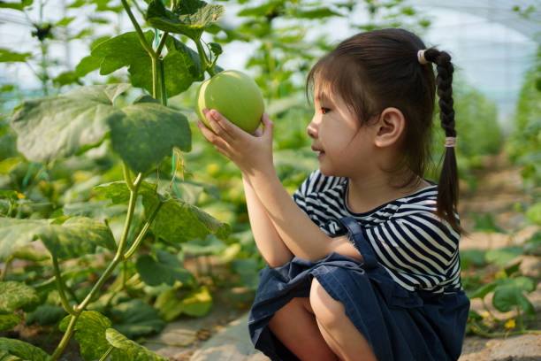 istock child holding cantaloupe 1600383273
