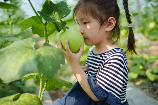 istock child holding cantaloupe 1600383823