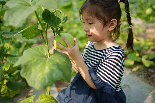 Children viewing melon growth