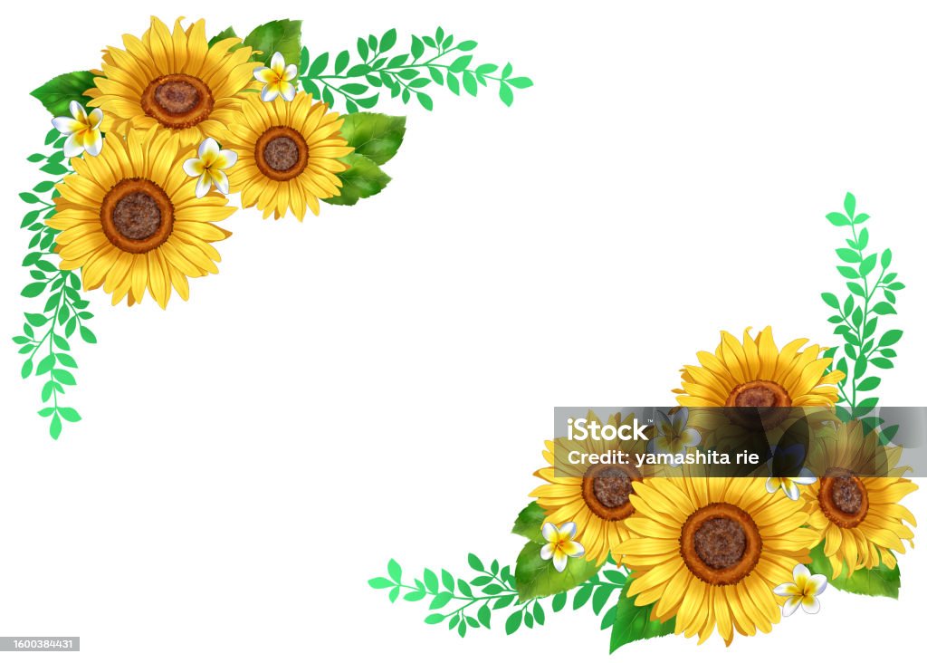 Simple Sunflower Frame Sunflower Simple Frame Illustration Stock Illustration - Download Image ...
