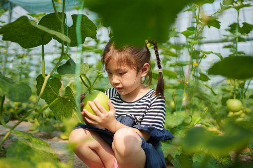 child holding cantaloupe