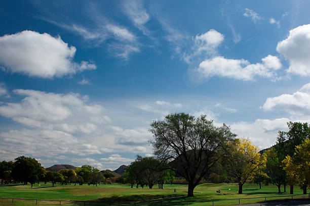 Palm Springs Resort Golf Course