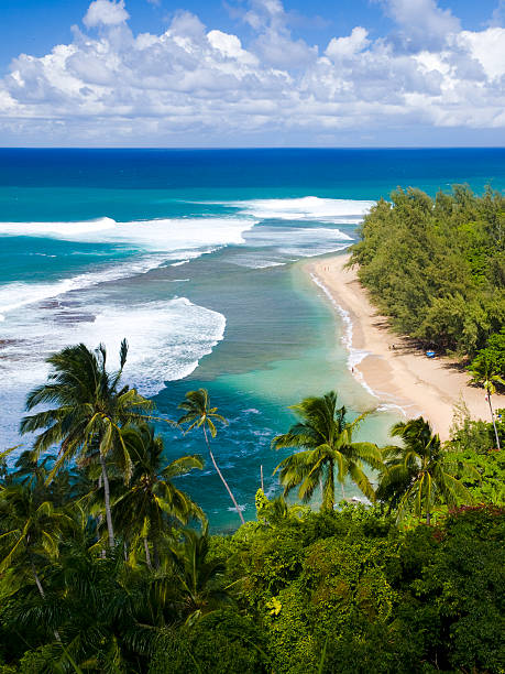 kee пляж из kalalau трейл в кауаи, гавайи - north shore стоковые фото и изображения