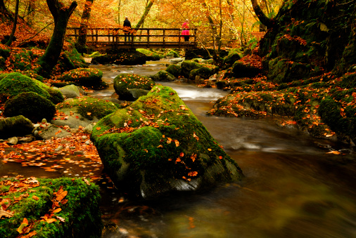 Looking towards the bridge over Stockghyll in Autumn in the English Lake District